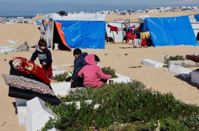 Latest Casualty Figures in Gaza