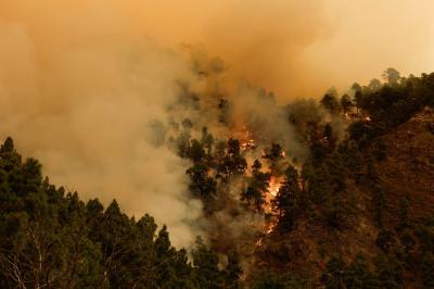 Thousands Evacuated Due to Wildfires in Spain