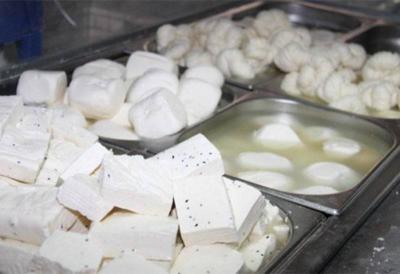 Spoiled Cheeses and Dairy Products... Here's What the Tests Revealed!