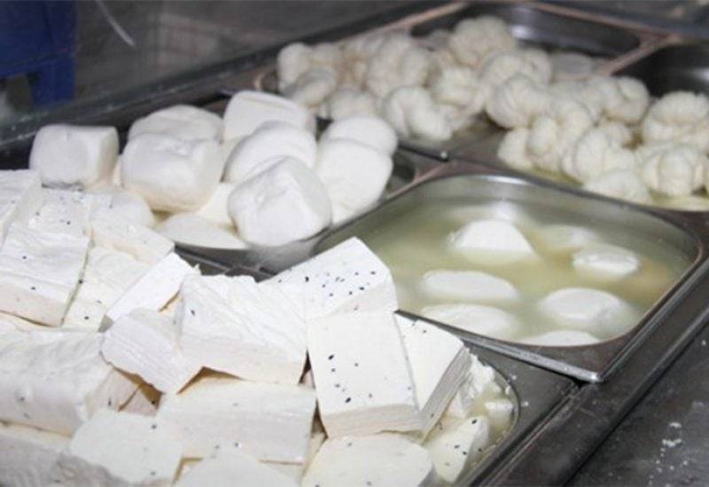 Spoiled Cheeses and Dairy Products... Here's What the Tests Revealed!