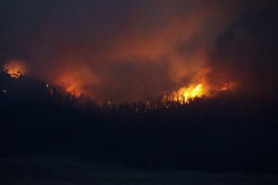 Title: Authorities in Portugal Control Forest Fire