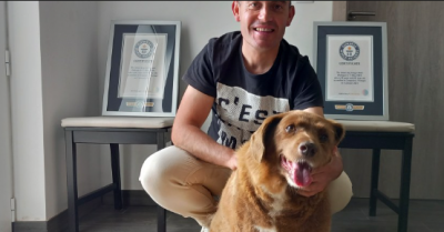 Guinness Loses the Oldest Dog