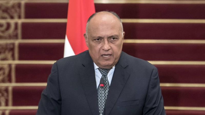 Postponement of Egyptian Foreign Minister's Visit to Mikati
