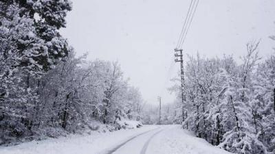 Snow Over the Weekend at 700 Meters!