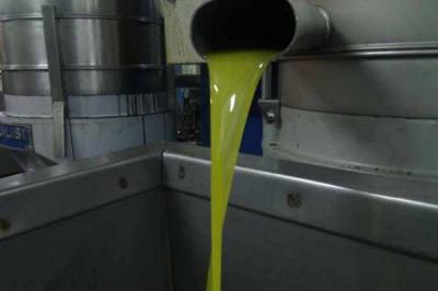 Inspection Tour of Olive Oil Mills in the South