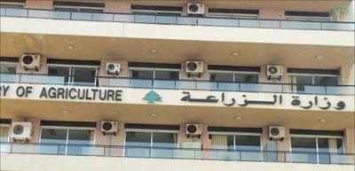 Environmental Massacre in Wadi Qozhaya... Ministry of Agriculture Takes Action!