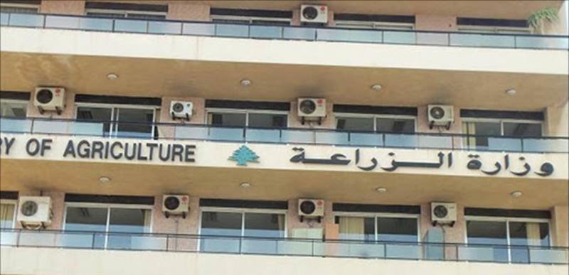 Environmental Massacre in Wadi Qozhaya... Ministry of Agriculture Takes Action!