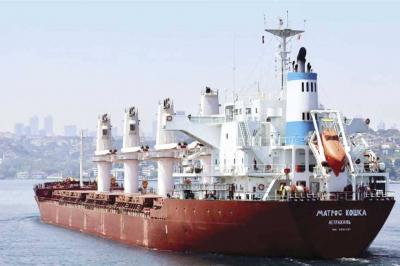Arrival of Ship Carrying Ukrainian Grain to Turkey via "Humanitarian Corridor"