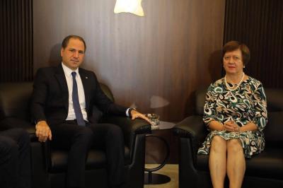 Title: Gemayel: The Other Team Must Address the Opposition's Efforts for Solutions