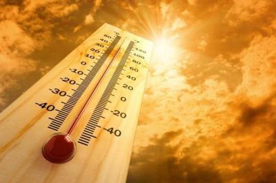 WMO: Intense Heat Waves Will Continue in August