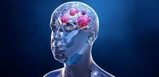 Important Discovery Eliminates Brain Cancer in Mice