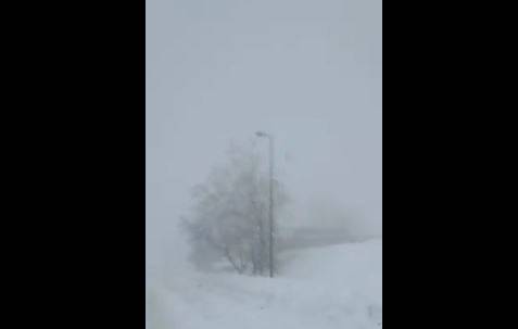 بالفيديو: مباشر تراكم الثلوج على ضهر البيدر