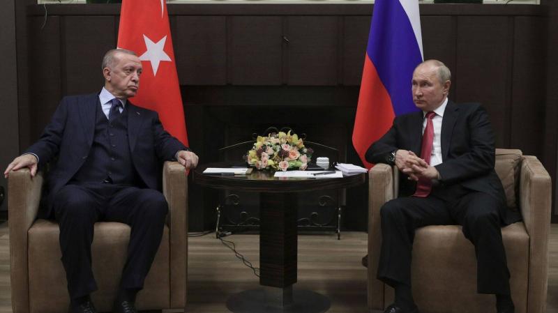 Erdogan to Meet Putin to Discuss Grain Export Issues