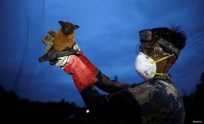 WHO: No New Cases of Nipah Virus