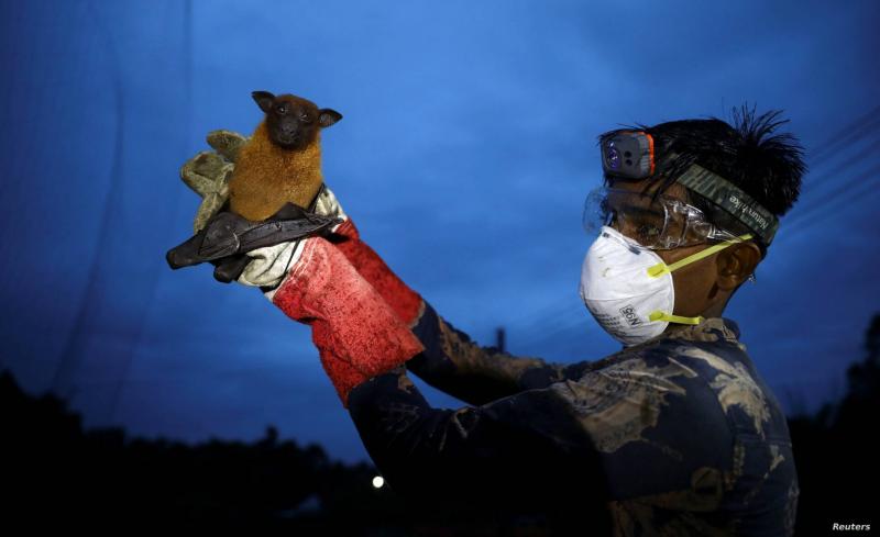 WHO: No New Cases of Nipah Virus
