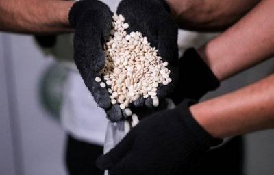 Strong Blow to Drug Traffickers in Saudi Arabia