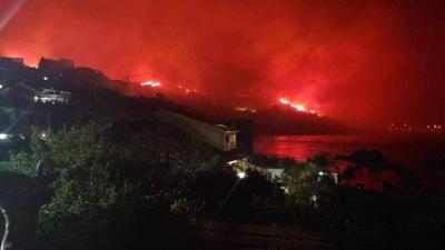 # Large Fire Erupts in a Forest in Bejaia, Algeria (Video)