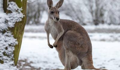 Australia Records Warmest Winter Ever