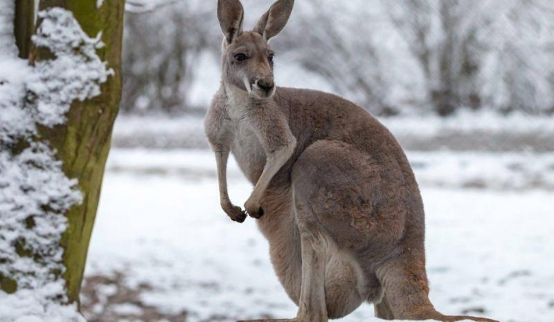 Australia Records Warmest Winter Ever