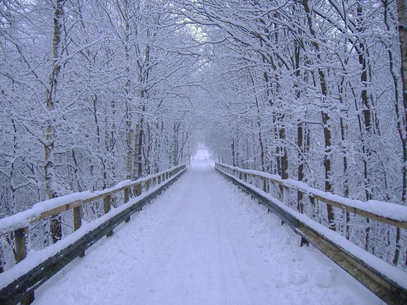 Title: Truck Movement Prohibited on the Bikfaya Dahour Chouair-Zahle Road Due to Snow