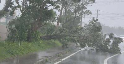 Typhoon Khanun Kills Two in Japan and Leaves Thousands Without Power