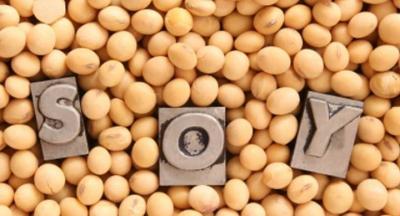 These Foods Can Lower Cholesterol in Your Body