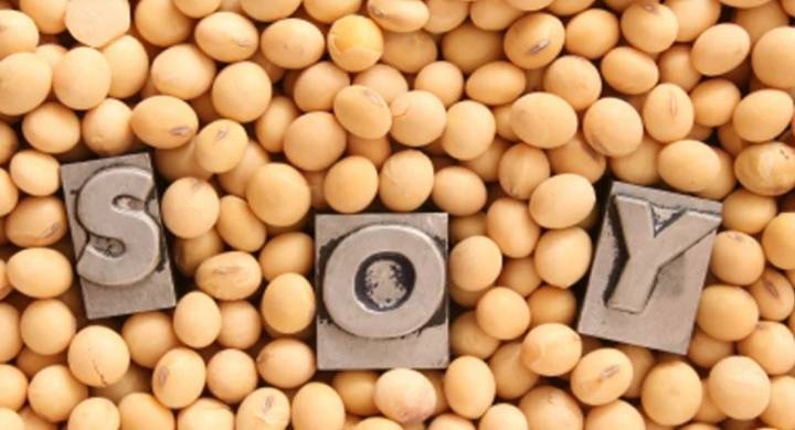 These Foods Can Lower Cholesterol in Your Body