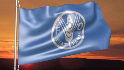 Title: FAO: Global Food Price Index Drops in January