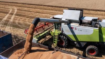 Russia Prepares to Use Ruble for Agricultural Exports Settlements