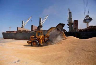 Jordan Purchases Barley Feed in Tender