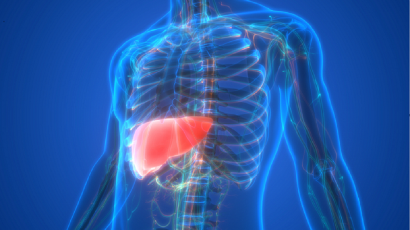 Beware: Three Habits That Destroy the Liver!