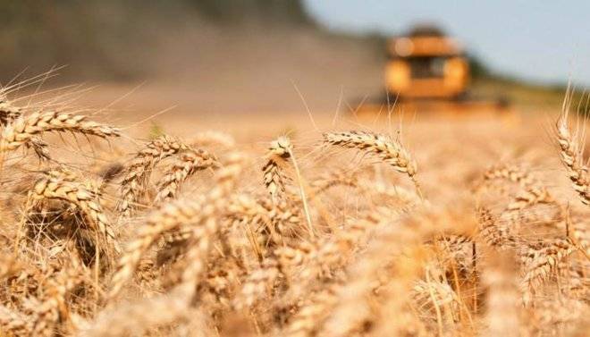 Russian Wheat Continues Weekly Gains