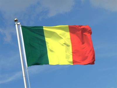 Release of German Missionary Kidnapped in Mali a Year Ago