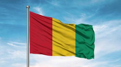 Guinea: Nine Dead in Armed Prison Break Incident