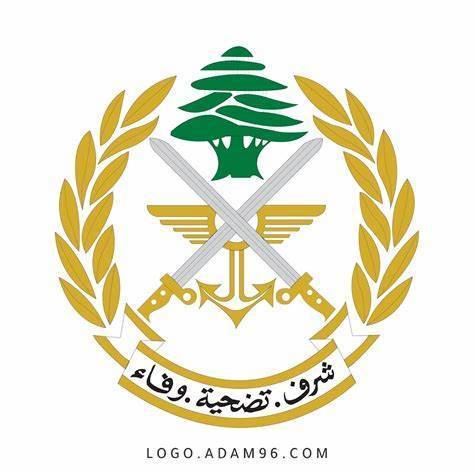 Arrests in the Southern Suburb and Akkar for Various Crimes