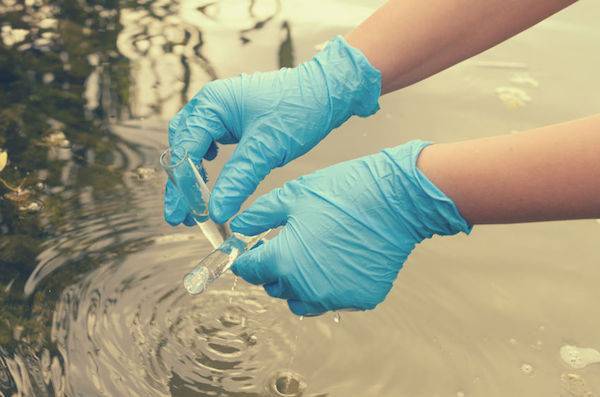 Cholera in Lebanon... Should We Be Concerned?