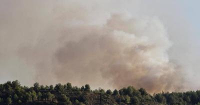 How to Protect Yourself from the Danger of White Phosphorus After Bombardment