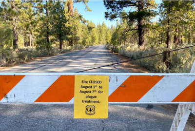 Plague Knocks on the Doors of New Mexico, USA