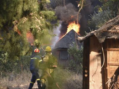Greece Rescues 25 Migrants from Evros Forest Fire