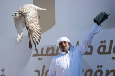 Kick-off of "Open General" Rounds in the Fazza Falconry Championship with Gulf Participation