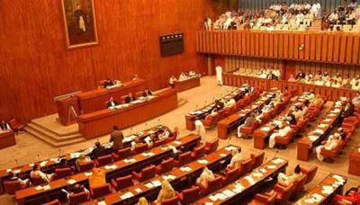 Pakistan Senate Approves Election Delay