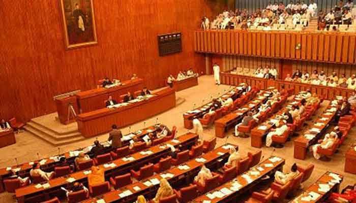 Pakistan Senate Approves Election Delay