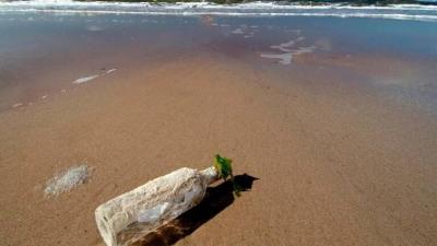 "Witch Bottles" Fill the Southern US Beaches