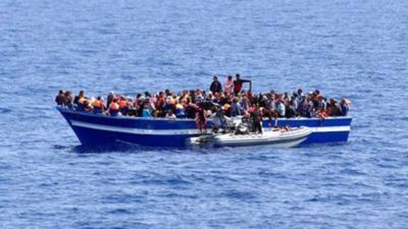 Rescue of Over 500 Migrants Off the Spanish Canary Islands