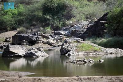 Wadi Bayd in Al-Darb Governorate: An Attractive Tourist Destination