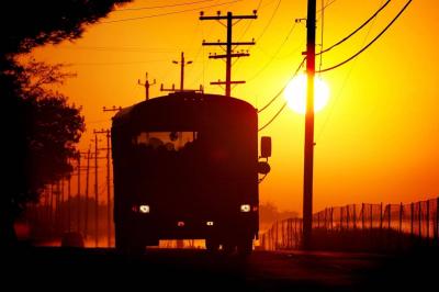 Title: Bus Accident Injures Dozens