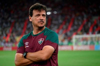 Dismissal of Diniz as Coach of the Brazil National Team