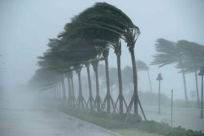 Title: Netherlands: Dozens of Flights Canceled Tomorrow at Schiphol Airport Due to Strong Winds