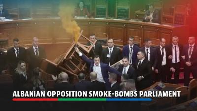 Video: Smoke Bomb and Fire Inside the Albanian Parliament
