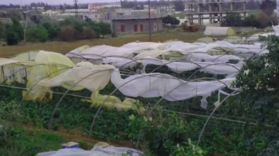 Significant Damage to Agricultural Greenhouses in Tartus and Homs